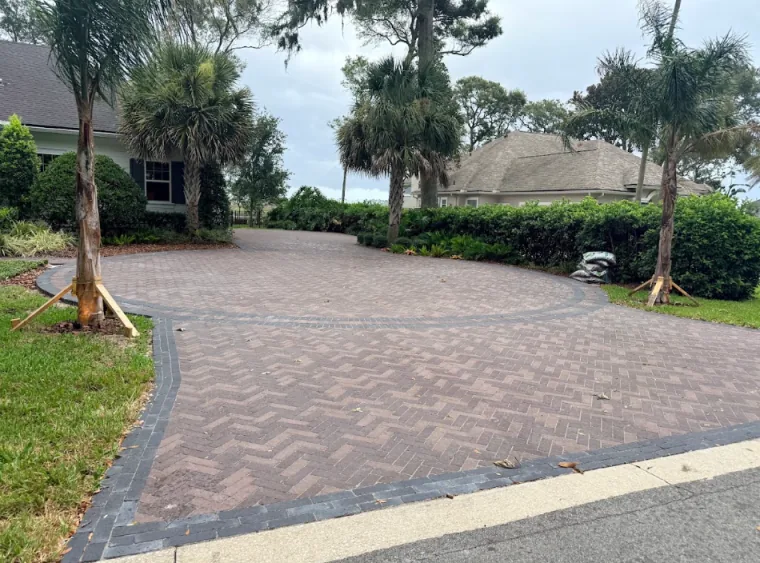 Ground-level curved reddish-brown herringbone paver driveway with a dark border, newly staked palm trees, and hedges in St. Augustine FL